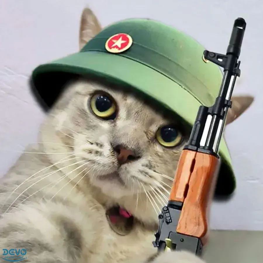 100+ ảnh meme mèo hài hước, độc đáo · ảnh 1
