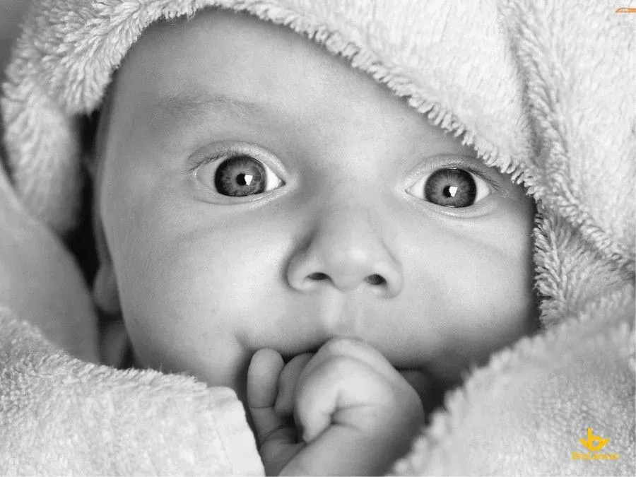 50+ ảnh em bé cute khiến ai cũng muốn lưu ngay