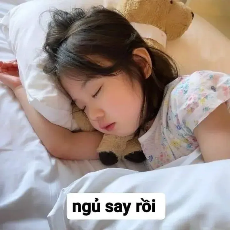 Meme ngủ ngon: 100+ ảnh dễ thương nhất cho tin chúc ngủ ngon · ảnh 3